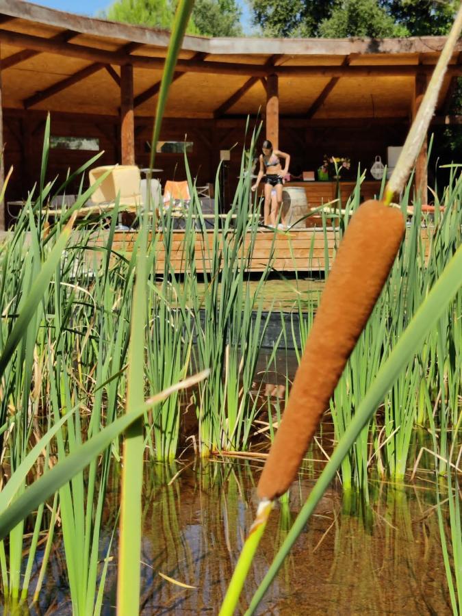 Apartament L'Etang Des Cigales Uchaux Zewnętrze zdjęcie